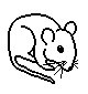 MAUS2.TIF