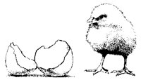 KUEKEN.TIF