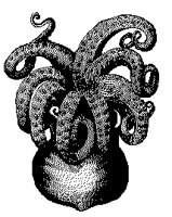 KRAKE4.TIF