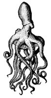 KRAKE2.TIF