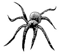 KRAKE1.TIF