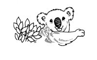 KOALA1.TIF