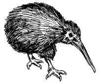 KIWI.TIF