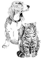 KATZHUND.TIF