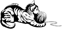 KATZE20.TIF