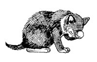 KATZE17.TIF