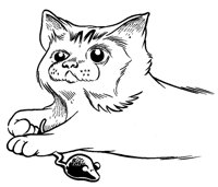 KATZE14.TIF