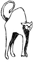 KATZE13.TIF
