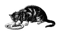 KATZE09.TIF
