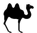 KAMEL.TIF
