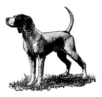 JAGDHU.TIF