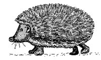 IGEL.TIF
