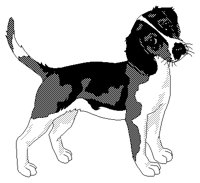 HUND5.TIF