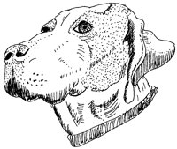 HUND4.TIF