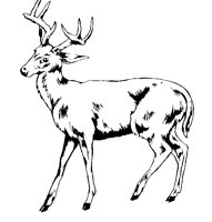 HIRSCH12.TIF