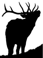 HIRSCH11.TIF