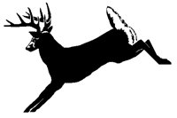 HIRSCH04.TIF