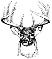 HIRSCH03.TIF