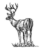 HIRSCH01.TIF