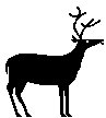 HIRSCH.TIF
