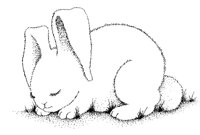 HASE11.TIF