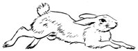 HASE10.TIF