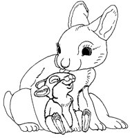HASE08.TIF