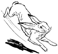 HASE03.TIF