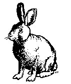 HASE02.TIF