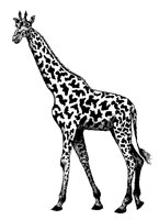 GIRAFFE6.TIF