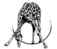 GIRAFFE1.TIF