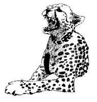 GEPARD3.TIF