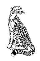 GEPARD2.TIF