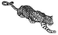 GEPARD.TIF