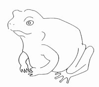 FROSCH09.TIF