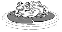 FROSCH04.TIF