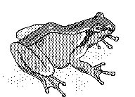 FROSCH.TIF