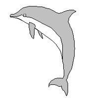 FLIPPER.TIF