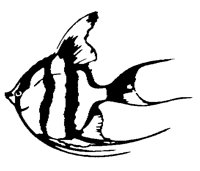 FISCH31.TIF