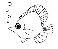 FISCH27.TIF