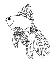 FISCH24.TIF