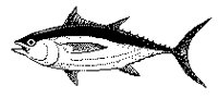 FISCH04.TIF