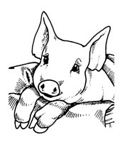 FERKEL.TIF