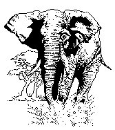 ELEFANT7.TIF