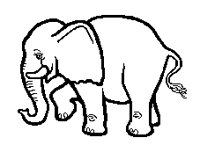 ELEFANT4.TIF