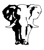 ELEFANT3.TIF
