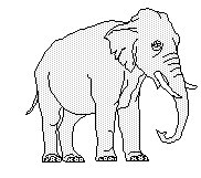 ELEFANT2.TIF