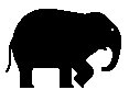 ELEFANT1.TIF
