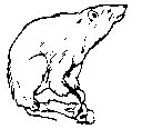 EISBAER.TIF