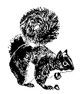 EICHHOE1.TIF